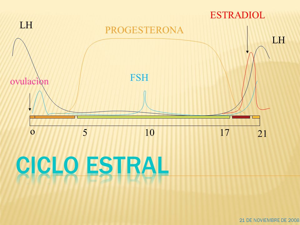 niveles progesterona etapa folicular
